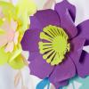 imageAstrodesigns Crafting Cardstock 12quot x 12quot 65 lb176 gsm 6Color Blooms ampamp Blossoms Assortment 84 Sheets 91813