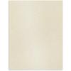 imageAstrodesigns Sticker Paper 85quot x 11quot Fully Adhesive Back White 30 Sheets 91702Metallic Champagne Pearl