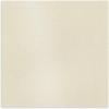 imageAstrodesigns Sticker Paper 85quot x 11quot Fully Adhesive Back White 30 Sheets 91702Metallic Champagne Pearl