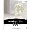 imageAstrodesigns Crafting Cardstock 12quot x 12quot 65 lb176 gsm Bright White 70 Sheets 9152212 x 12
