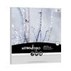 imageAstrodesigns Crafting Cardstock 12quot x 12quot 65 lb176 gsm White Silver 60 Sheets 91021