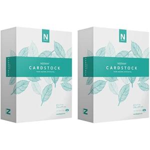 imageNeenah Cardstock Mediumweight 365 Sheets 90 lb163 gsm 94 Brightness 85quot x 11quot  MORE SHEETS 91634 1 Ream1 Ream Pack of 2