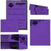 imageAstrobrights Mega Collection Colored Paper Ultra Purple 625 Sheets 24 lb89 gsm 85quot x 11quot  MORE SHEETS 916911 Ream