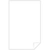 imageNeenah Paper 40414 Exact Index Card Stock 110lb 92 Bright 11 x 17 250 Sheets White